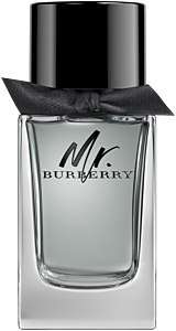 Burberry Mr. Burberry EdT Nat. Spray