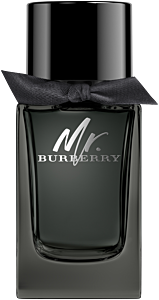 Burberry Mr. Burberry EdP Nat. Spray